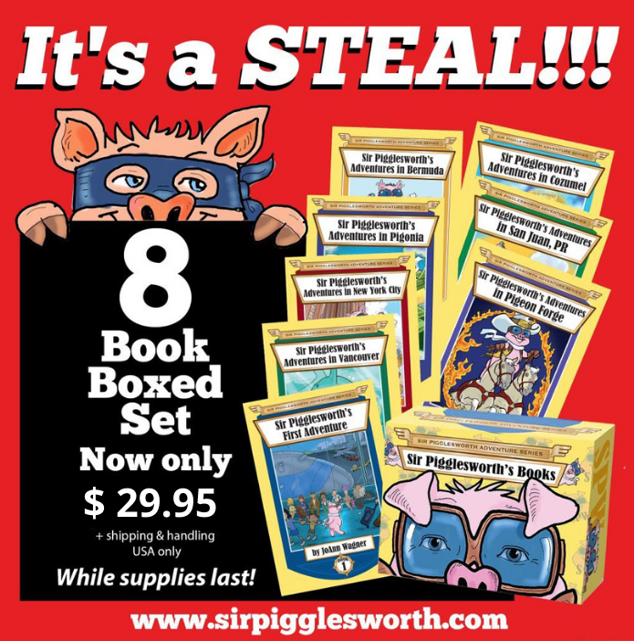 book-ad-Its-a-Steal-29_95-1018x1024-v2